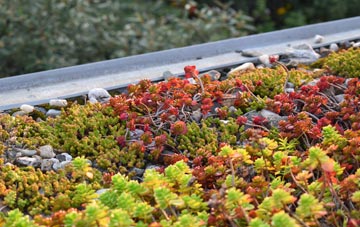 the cost of Benwell green roof installation