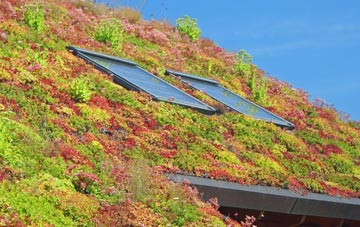 Benwell living roof systems