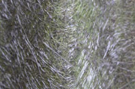 Benwell fibreglass roof work